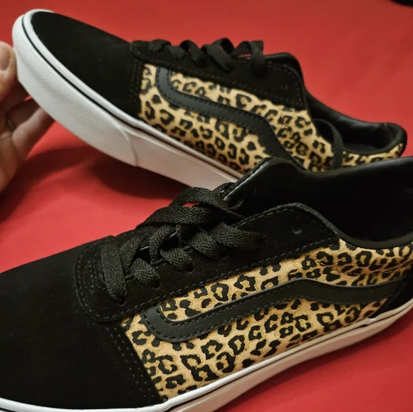 Cheetah vans - Picture 1 of 5